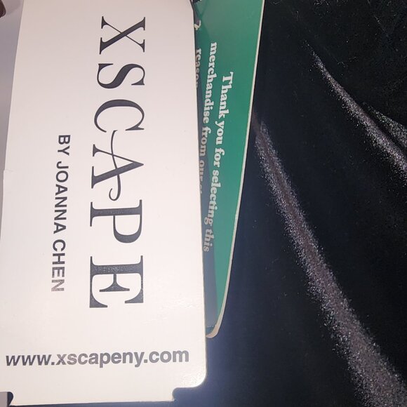 Xscape Size Black Velvet & Mesh Maxi Skirt Whimsigoth Witchy Dark Fairy - Picture 3 of 4